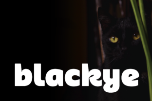 Blackye: A Bold Sans Serif Font for Eye-Catching Campaigns