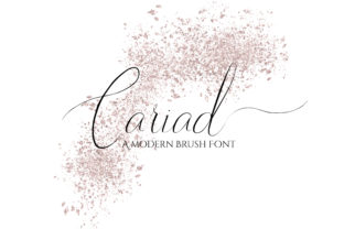 Cariad Font for Modern Branding and Creative Projects