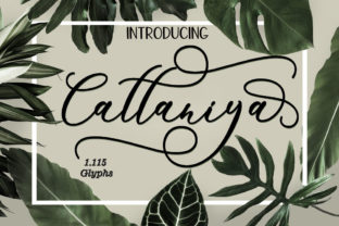 Cattaniya: The Handmade Calligraphy Font for Bold Campaigns