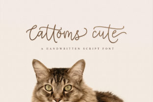 Cattoms Cute Font for Branding and Design