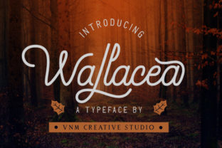 Discover the Elegance of Wallacea Font