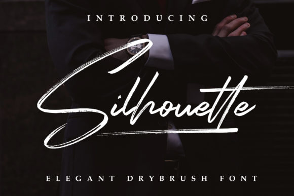 Silhouette Elegant Typeface Review for Brand Designers