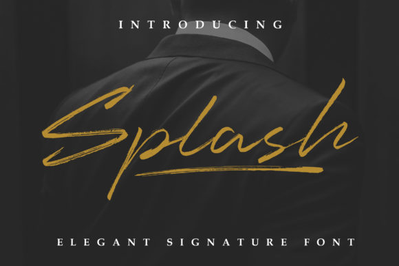 Splash: The Elegant Script Font for Polished Branding